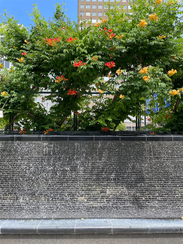 f:id:YoroCon:20230808213037j:image