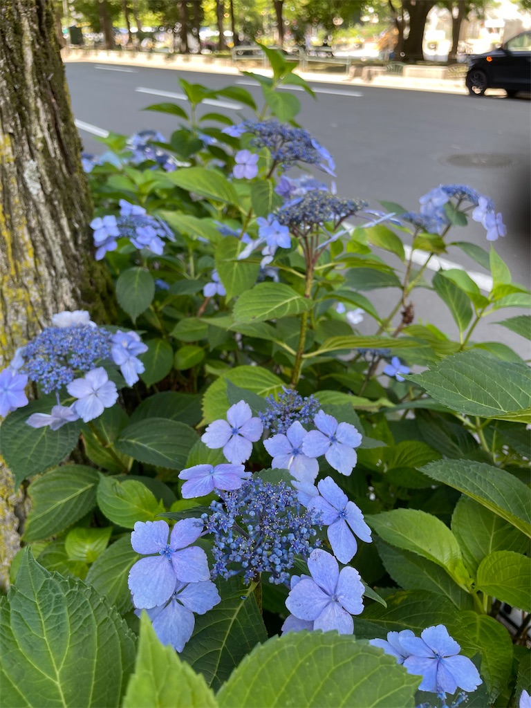 f:id:YoroCon:20230808213054j:image