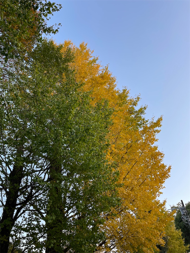 f:id:YoroCon:20231231005255j:image