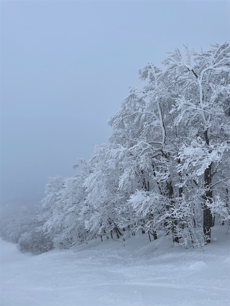 f:id:YoroCon:20231231005410j:image