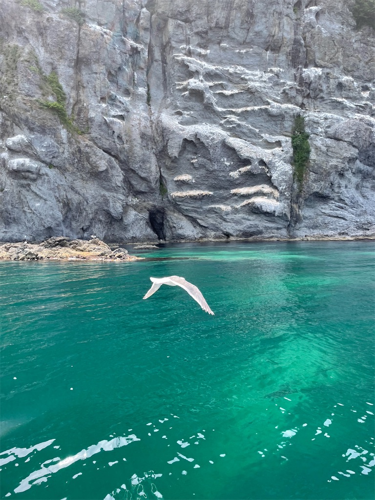 f:id:YoroCon:20231231005439j:image