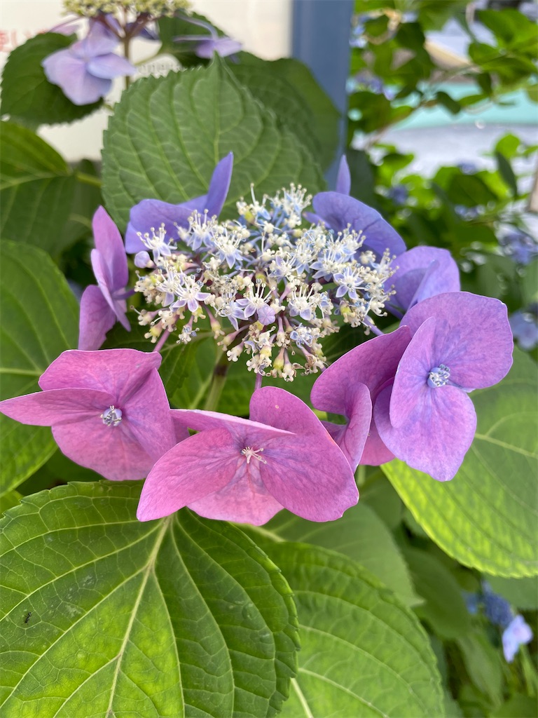 f:id:YoroCon:20231231005448j:image