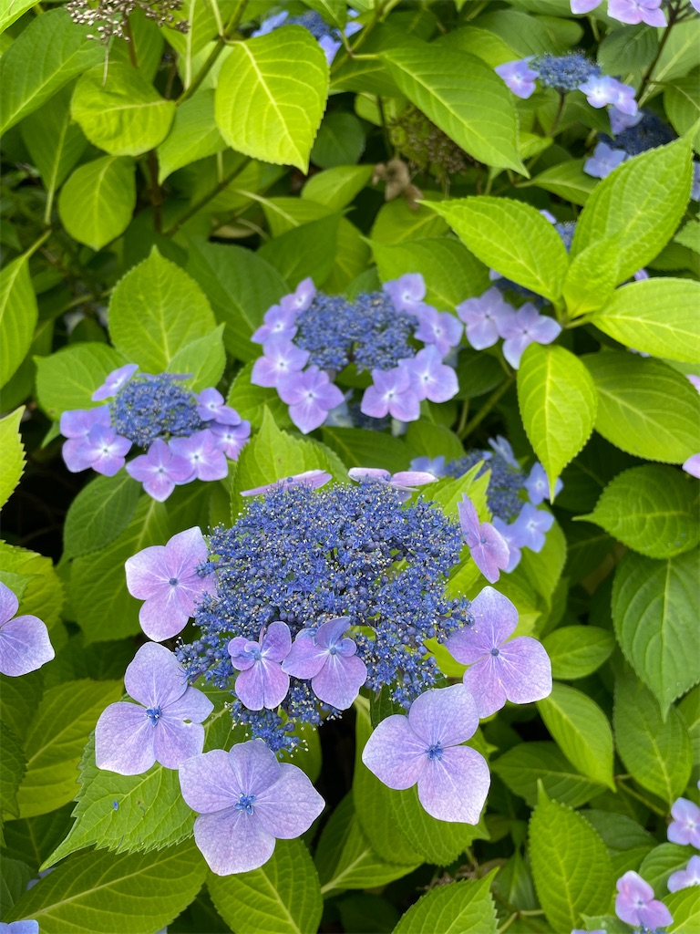 f:id:YoroCon:20231231005527j:image