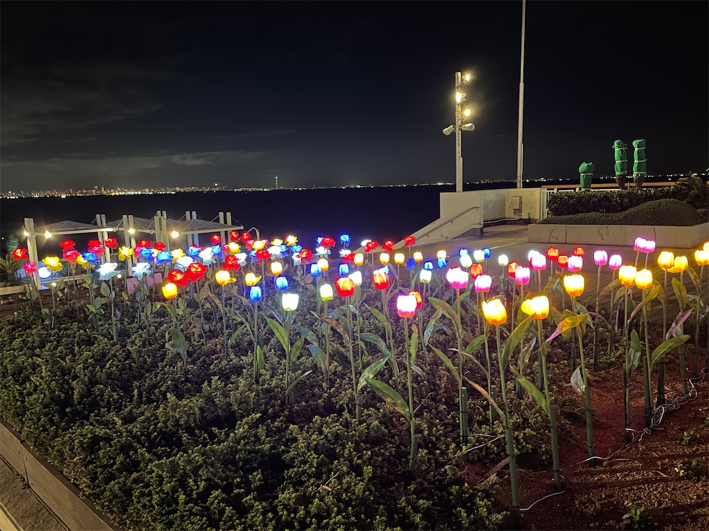 f:id:YoroCon:20231231005536j:image