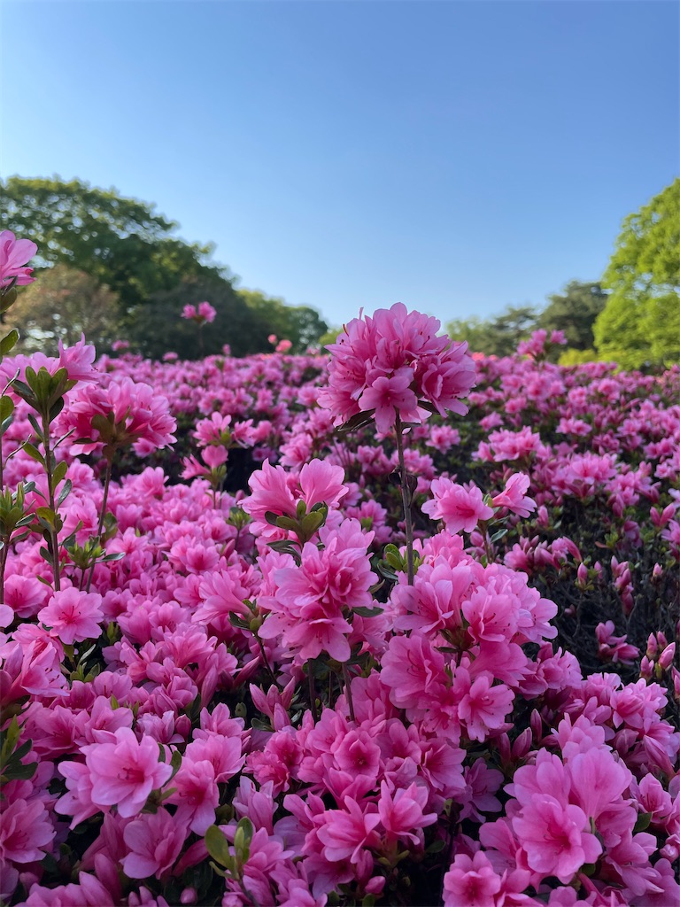 f:id:YoroCon:20231231005645j:image