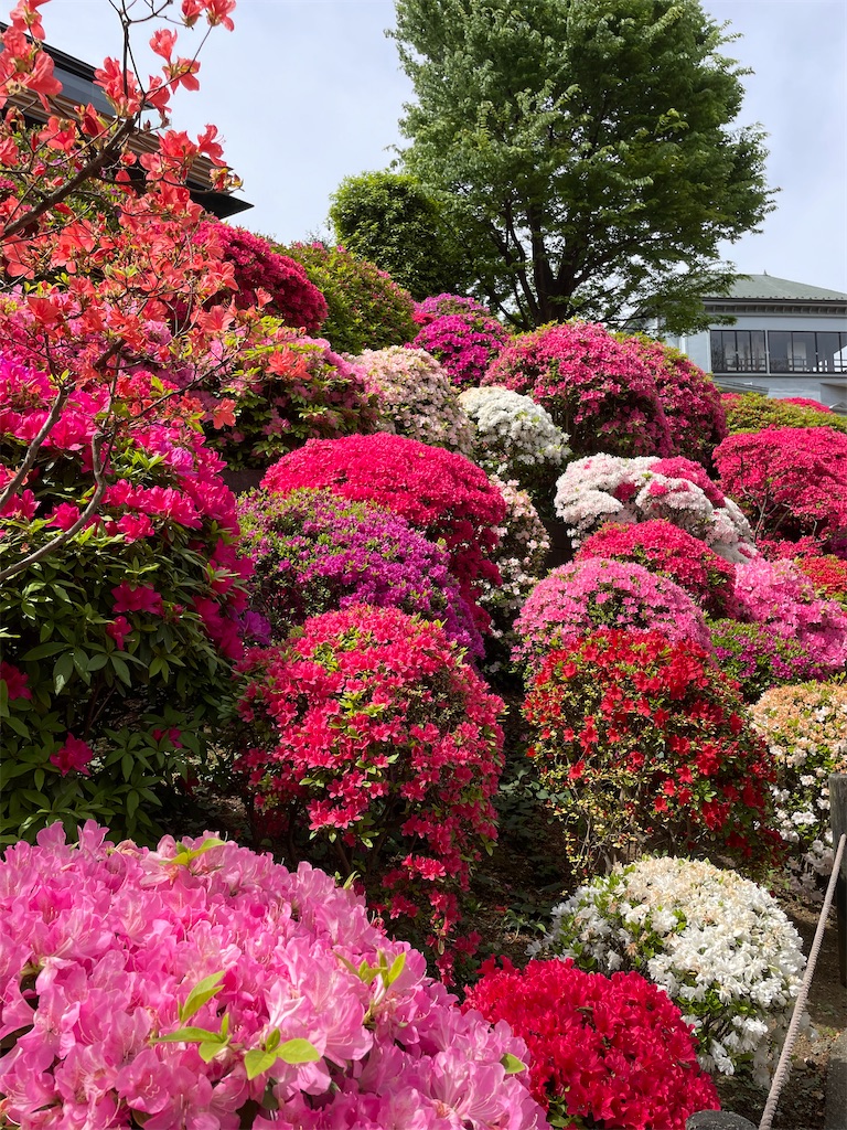 f:id:YoroCon:20231231005805j:image