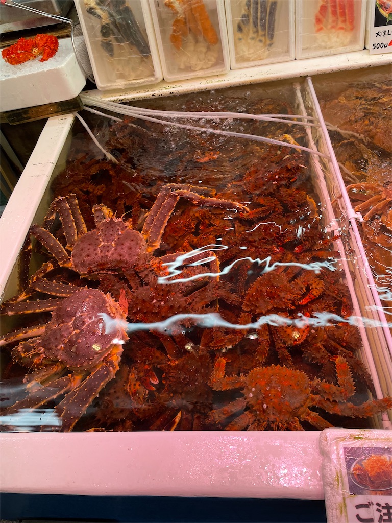 f:id:YoroCon:20231231005815j:image