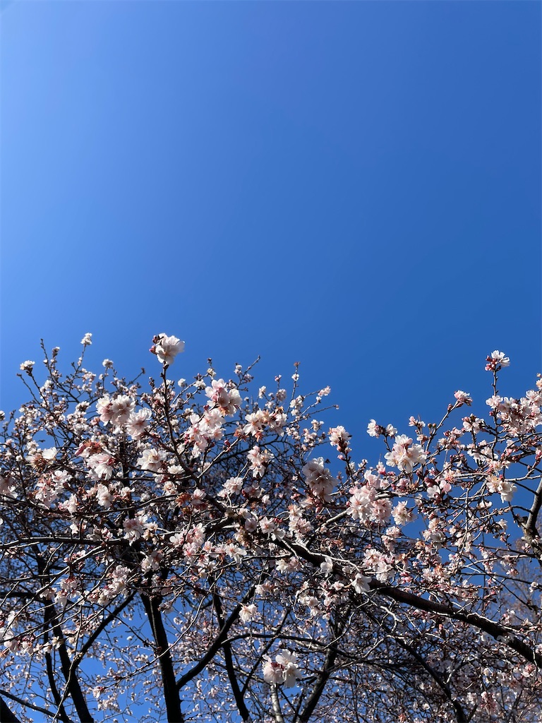 f:id:YoroCon:20240104235258j:image