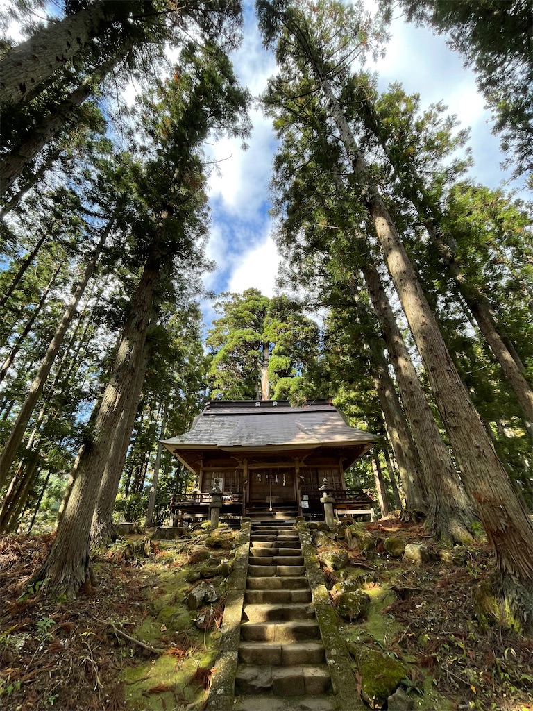 f:id:YoroCon:20240127215029j:image