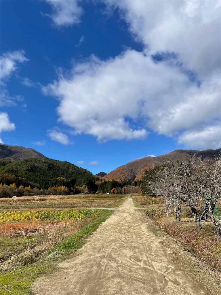 f:id:YoroCon:20240127215143j:image