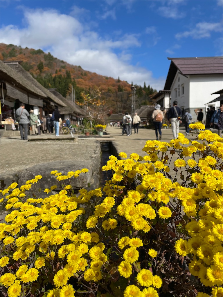 f:id:YoroCon:20240127215232j:image