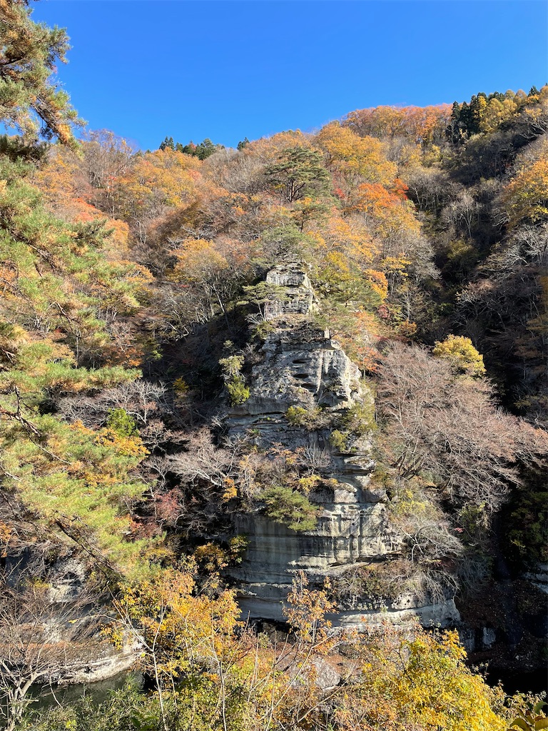 f:id:YoroCon:20240127215313j:image