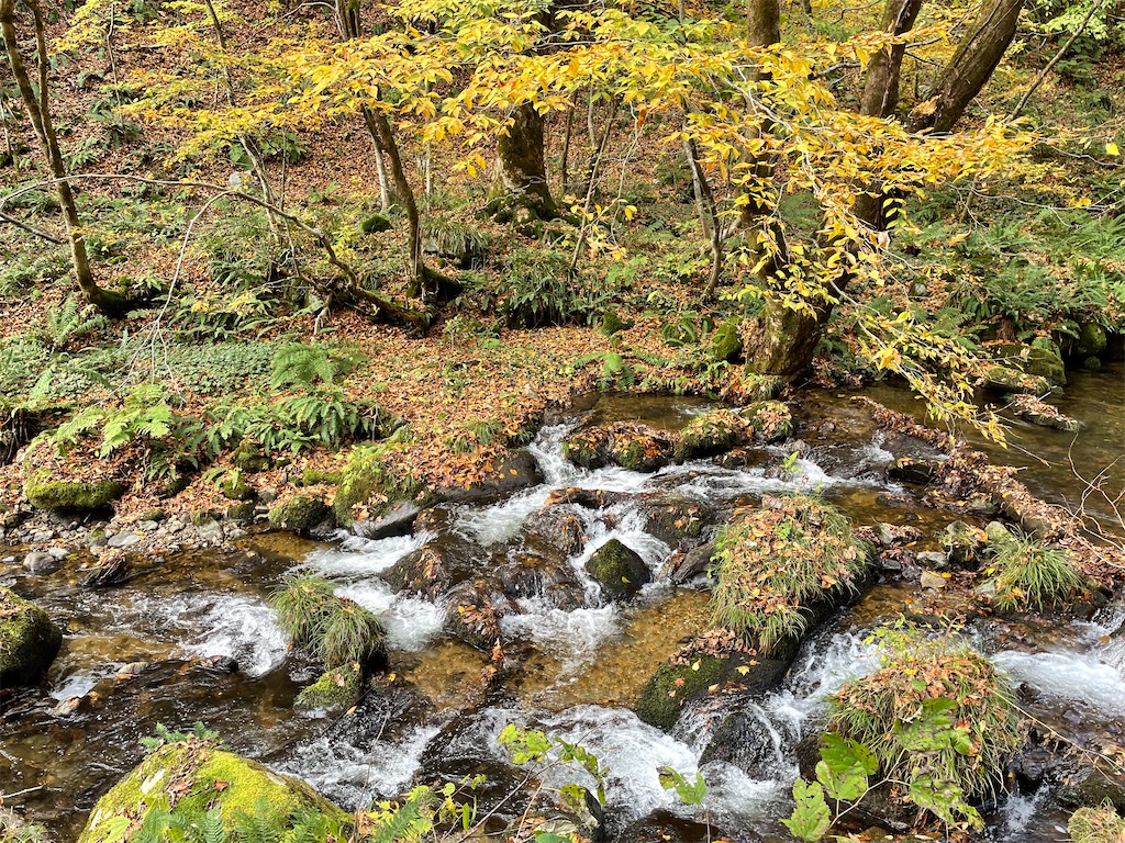 f:id:YoroCon:20240127215327j:image