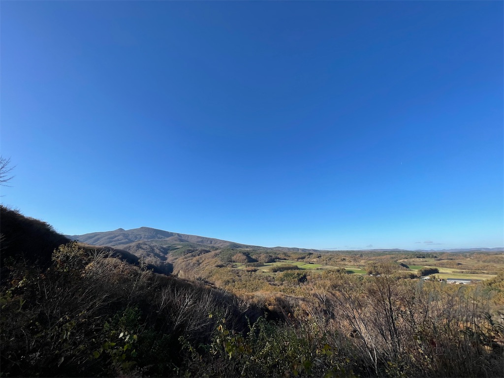 f:id:YoroCon:20240127215335j:image