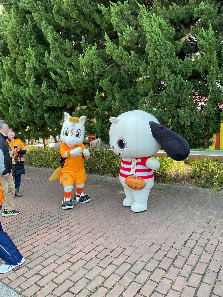 f:id:YoroCon:20240213232652j:image