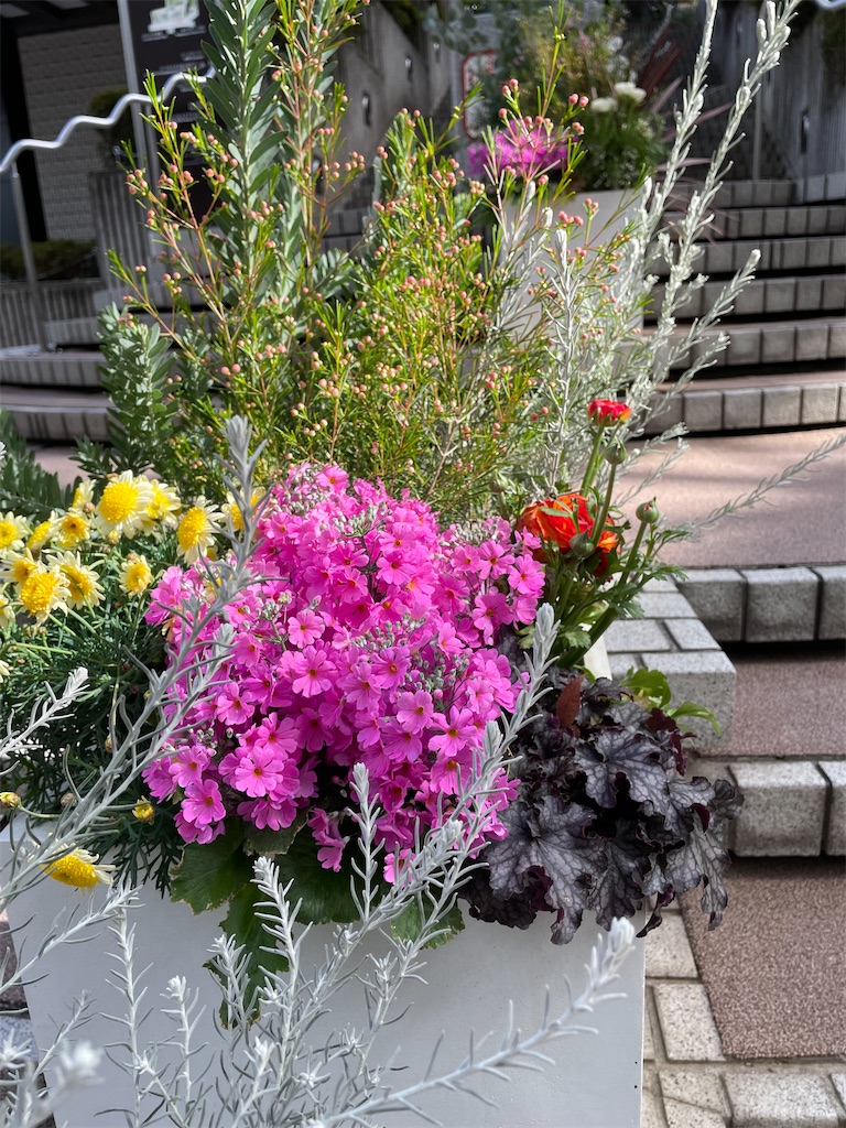 f:id:YoroCon:20240305004842j:image