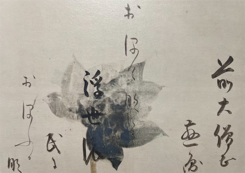 f:id:YoroCon:20240305004956j:image