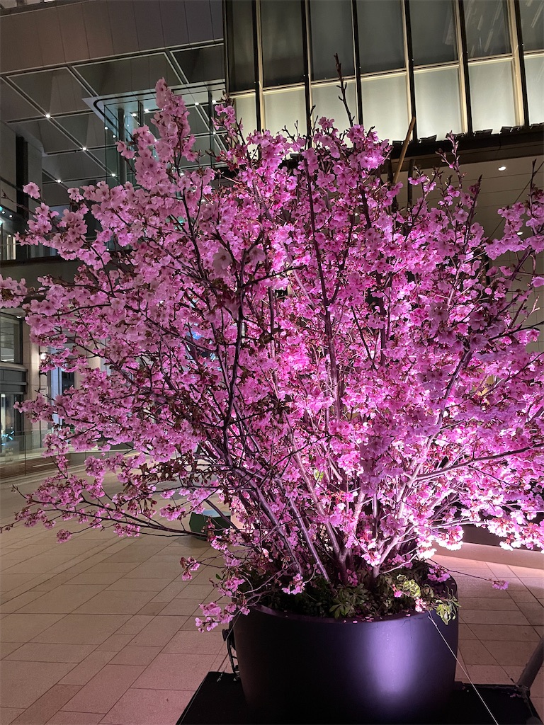 f:id:YoroCon:20240401234514j:image