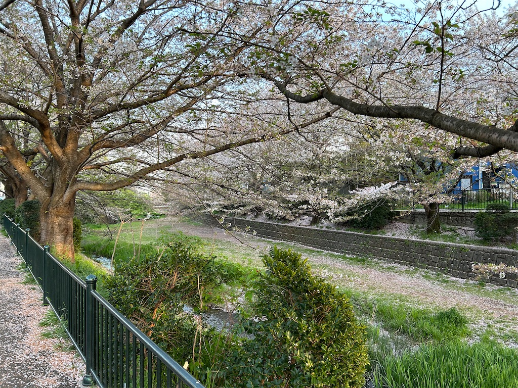 f:id:YoroCon:20240414195220j:image