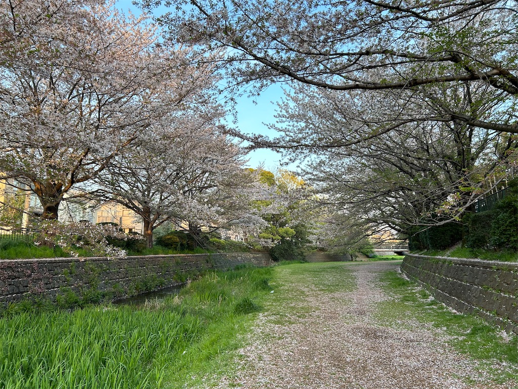 f:id:YoroCon:20240414195231j:image