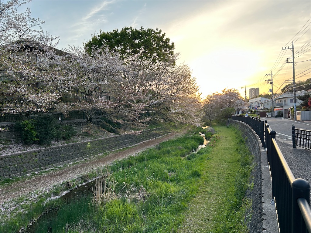 f:id:YoroCon:20240414195239j:image