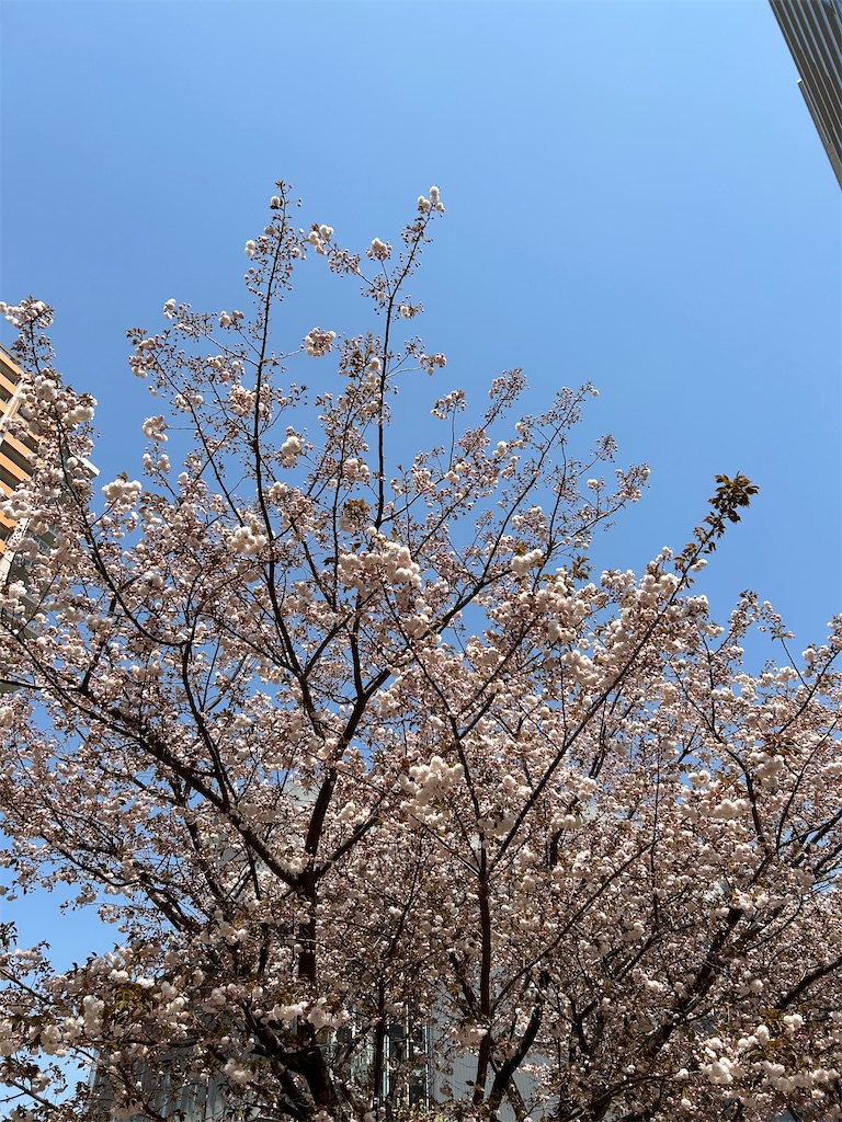 f:id:YoroCon:20240414195242j:image