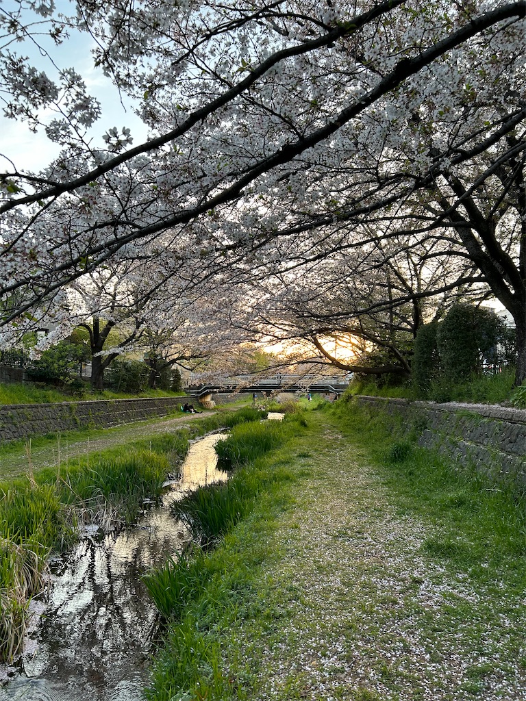 f:id:YoroCon:20240414195257j:image