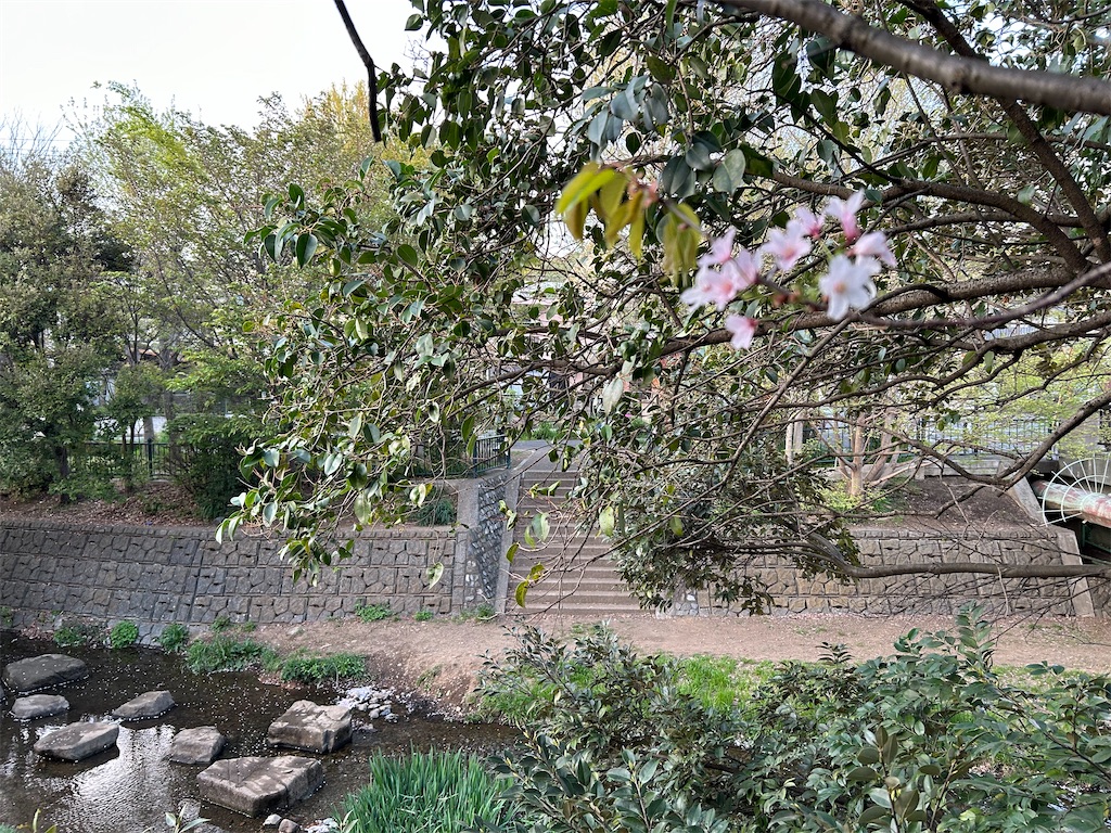 f:id:YoroCon:20240414195301j:image