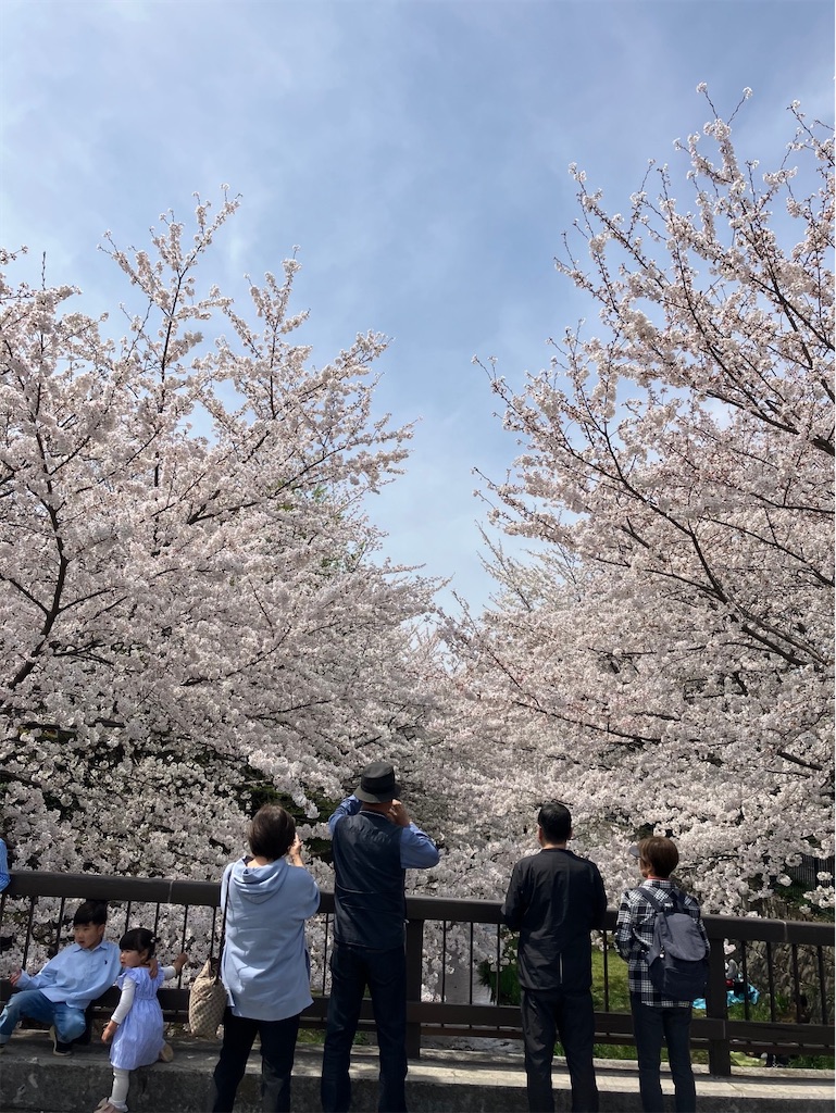 f:id:YoroCon:20240414195305j:image