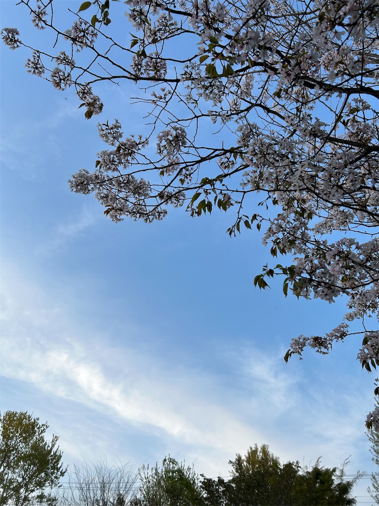 f:id:YoroCon:20240414195309j:image