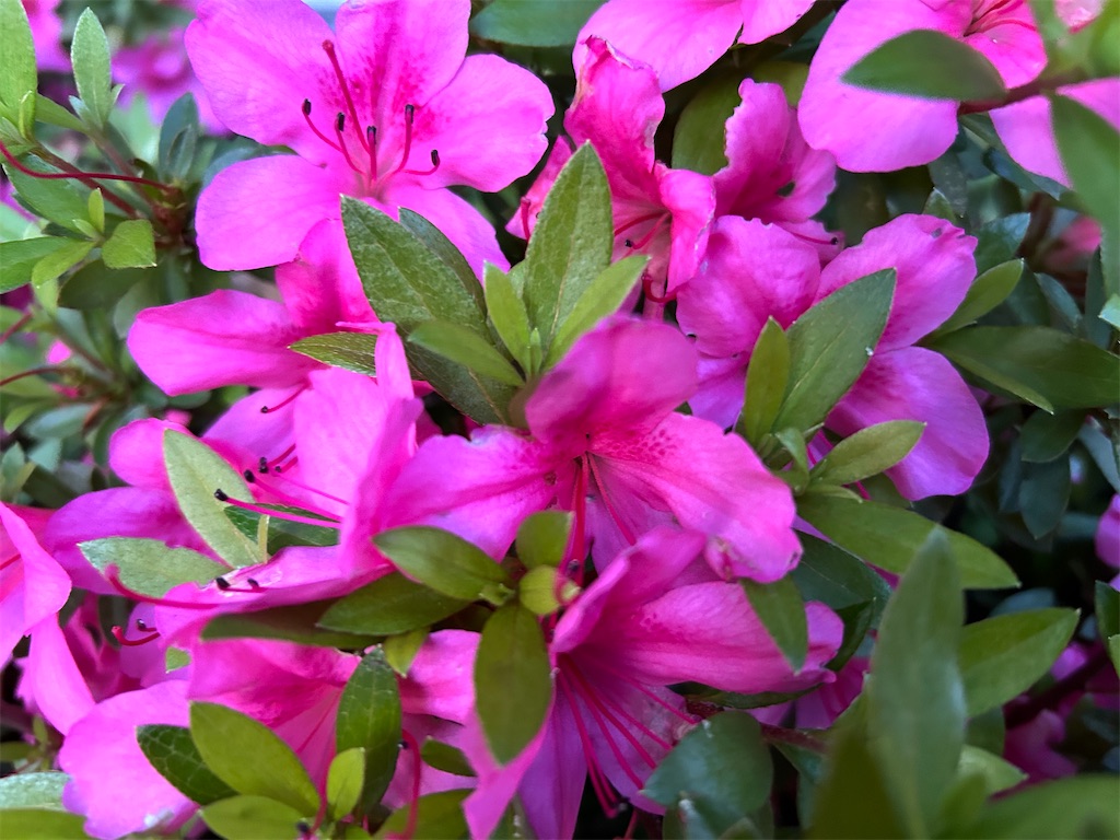 f:id:YoroCon:20240512215514j:image