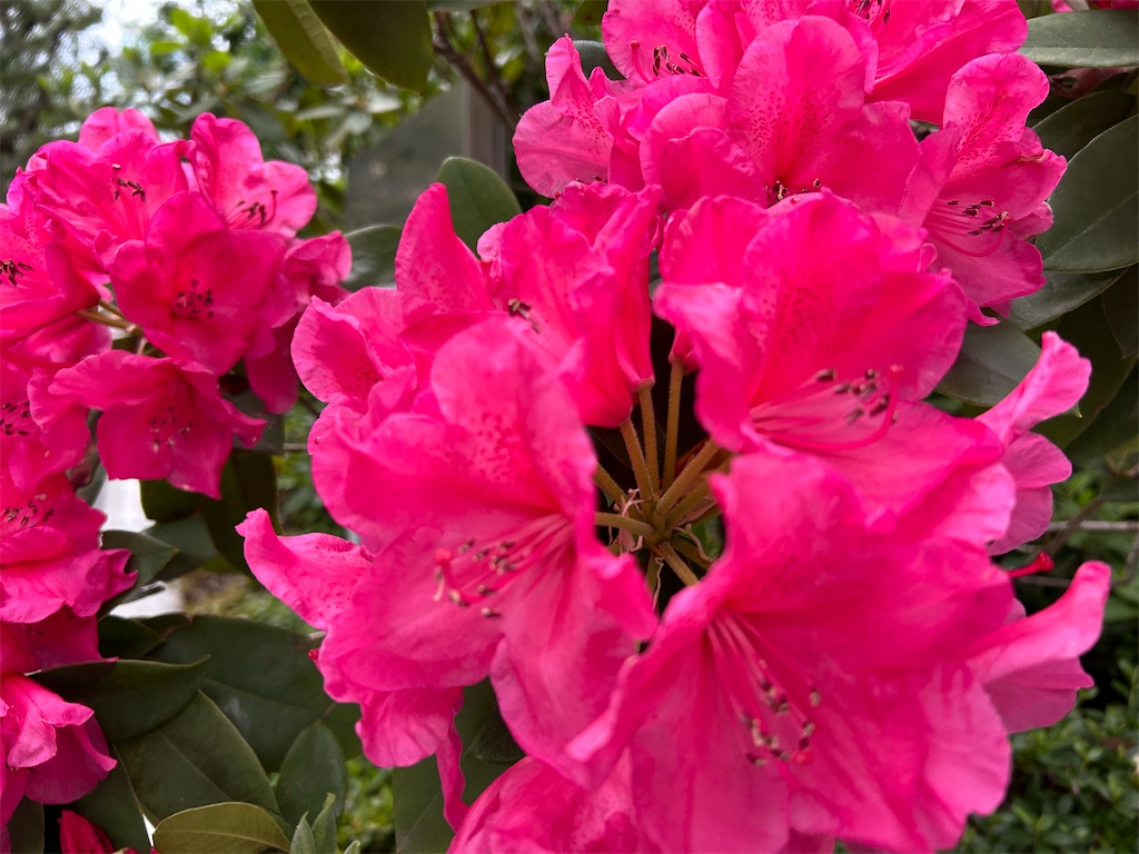 f:id:YoroCon:20240513003925j:image