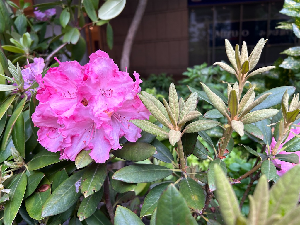 f:id:YoroCon:20240520224451j:image