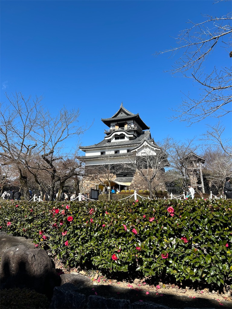 f:id:YoroCon:20250220212630j:image f:id:YoroCon:20250220212630j:image