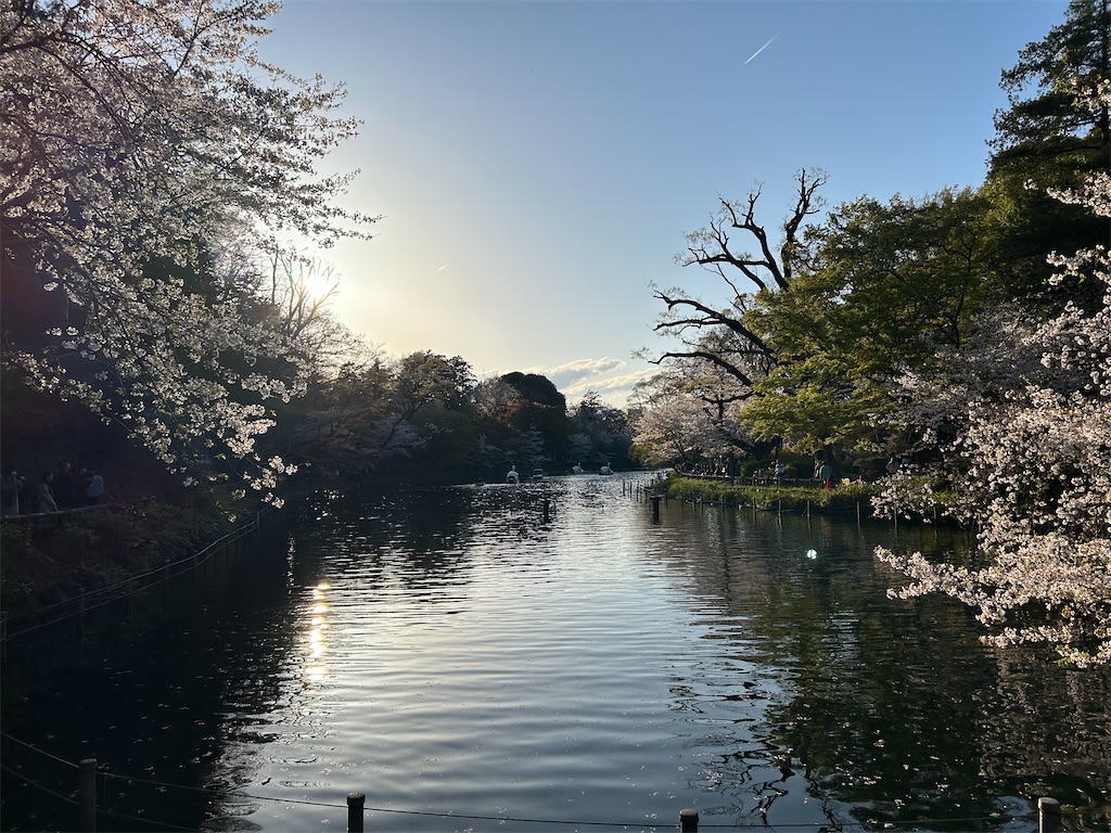 f:id:YoroCon:20250412200138j:image