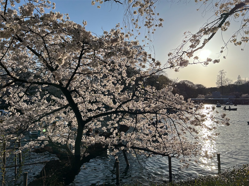 f:id:YoroCon:20250412200219j:image
