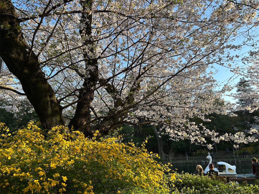 f:id:YoroCon:20250412200231j:image