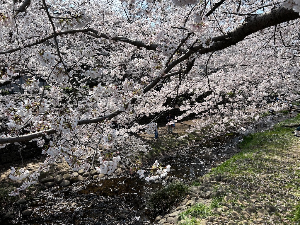 f:id:YoroCon:20260328191733j:image