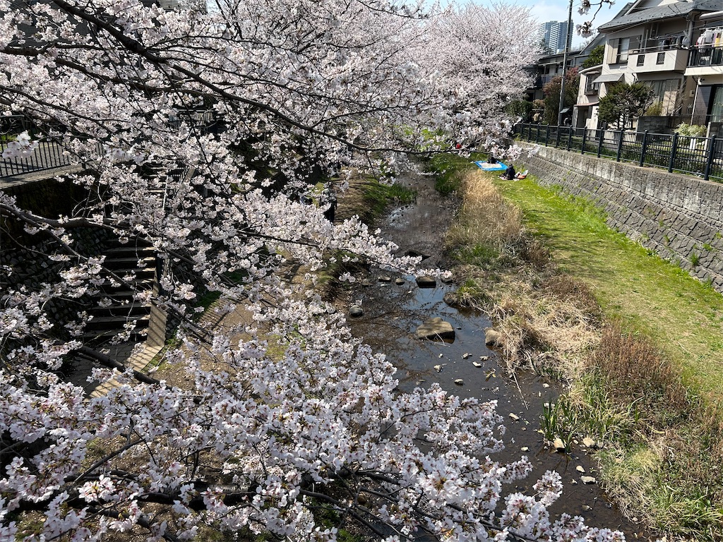 f:id:YoroCon:20260328191906j:image