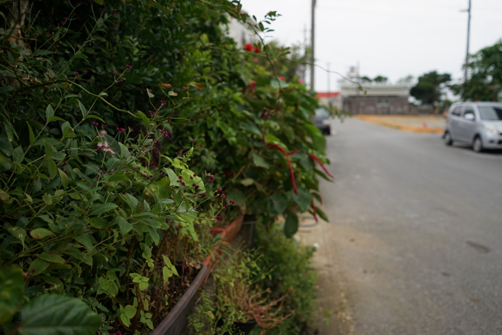 f:id:Yoshi4423:20151112202608j:plain f:id:Yoshi4423:20151112202608j:plain