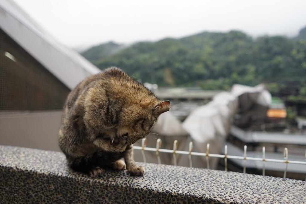 f:id:Yoshi4423:20160322225458j:plain