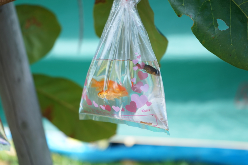 f:id:Yoshi4423:20161013152215j:plain