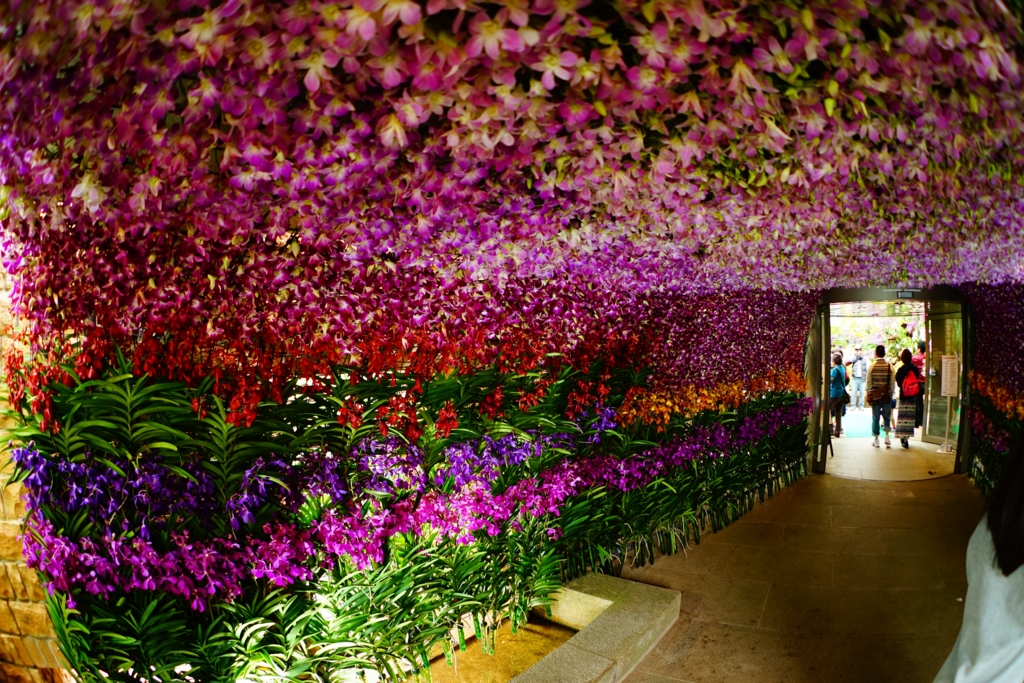 f:id:Yoshi4423:20170205215444j:plain