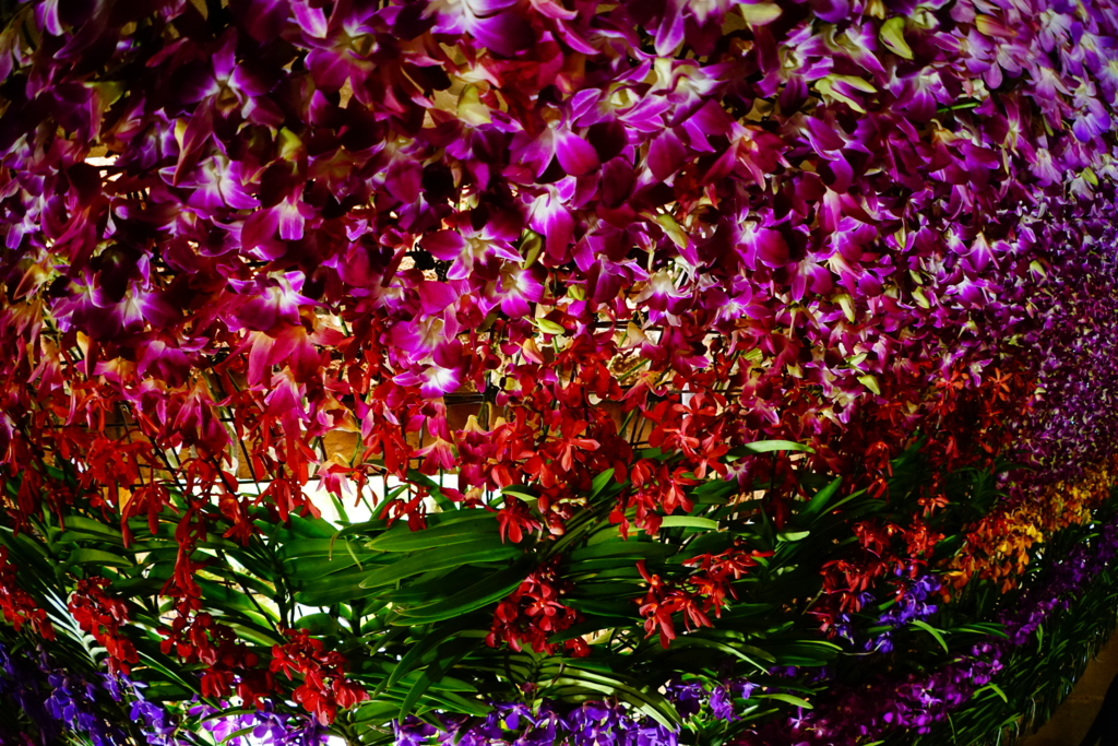 f:id:Yoshi4423:20170205215452j:plain