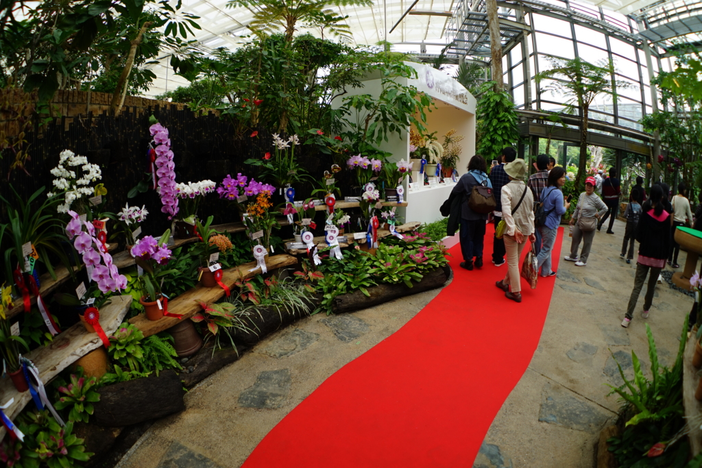 f:id:Yoshi4423:20170205215801j:plain