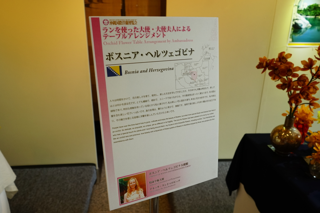 f:id:Yoshi4423:20170205220201j:plain