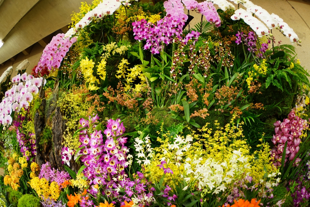 f:id:Yoshi4423:20170205220819j:plain