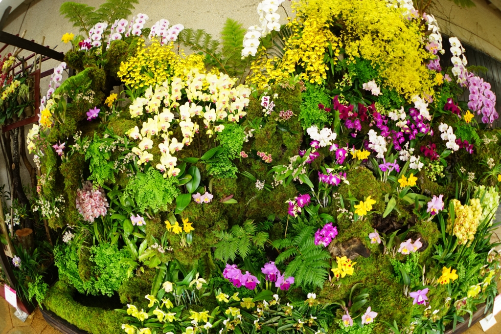 f:id:Yoshi4423:20170205220907j:plain