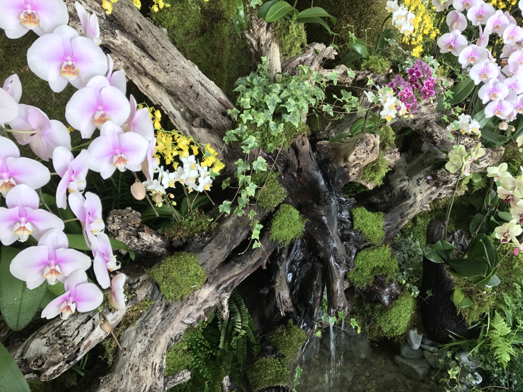 f:id:Yoshi4423:20170205220958j:plain