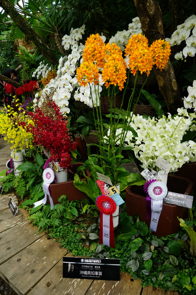 f:id:Yoshi4423:20170205231535j:plain